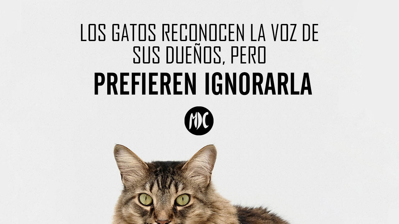 contraportada_Abril_4