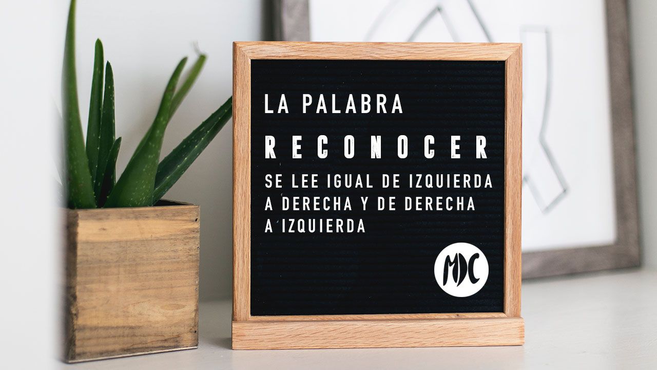 contraportadas_julio2019_6