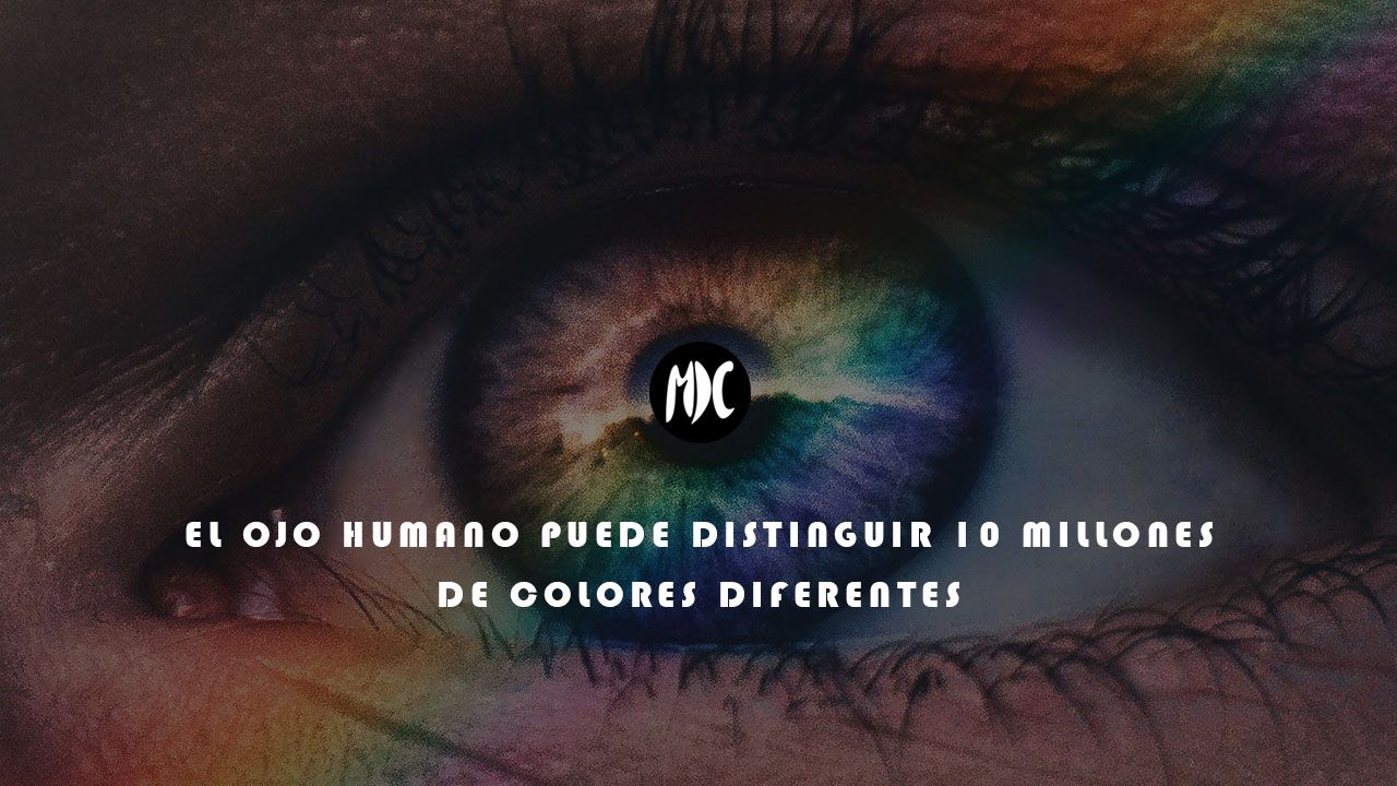 contraportadas_octubre2019_1