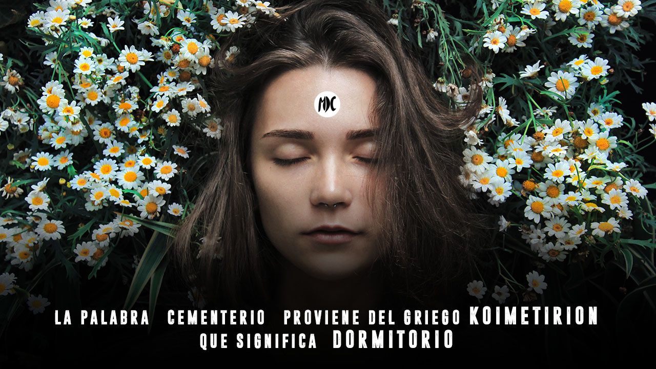 contraportadas_octubre2019_3