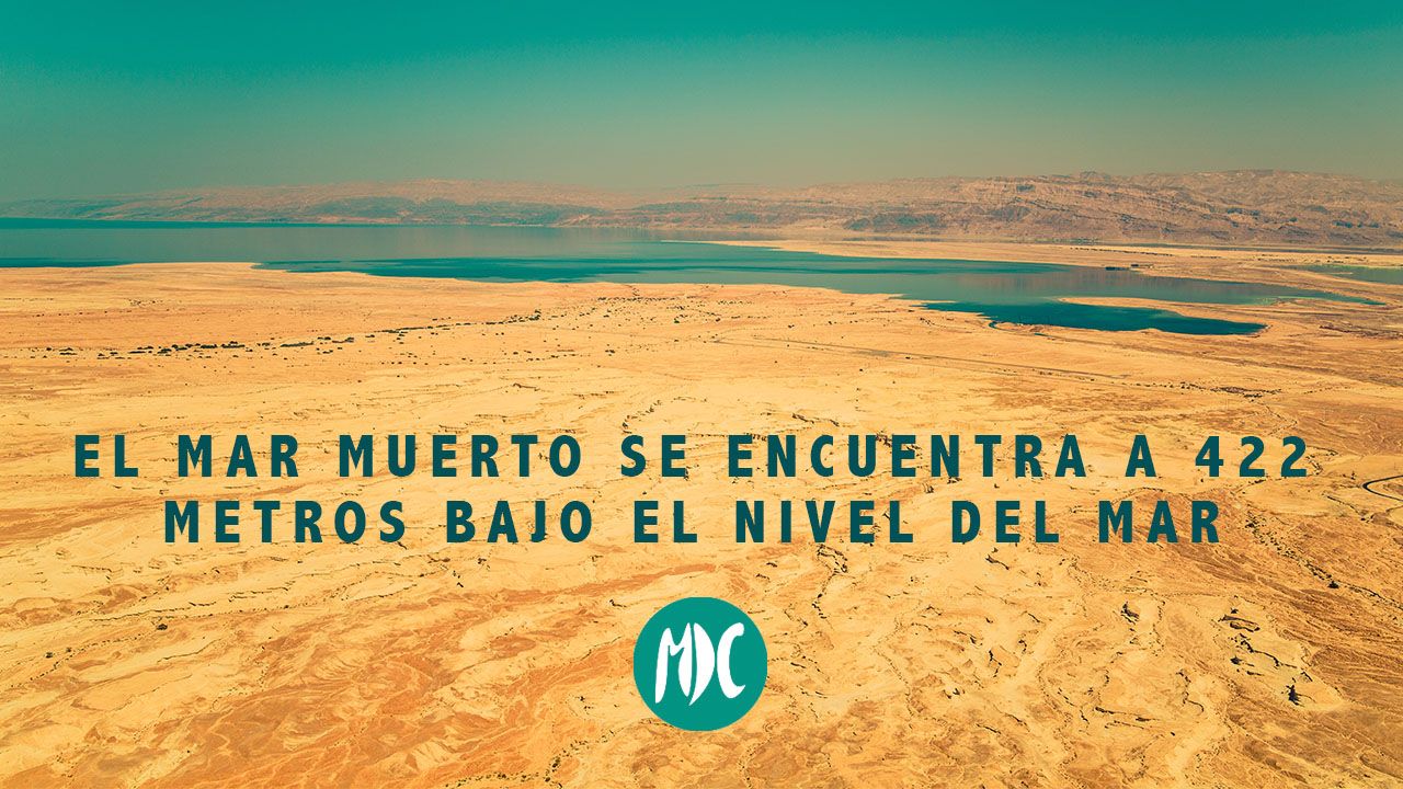 contraportadas_octubre2019_4