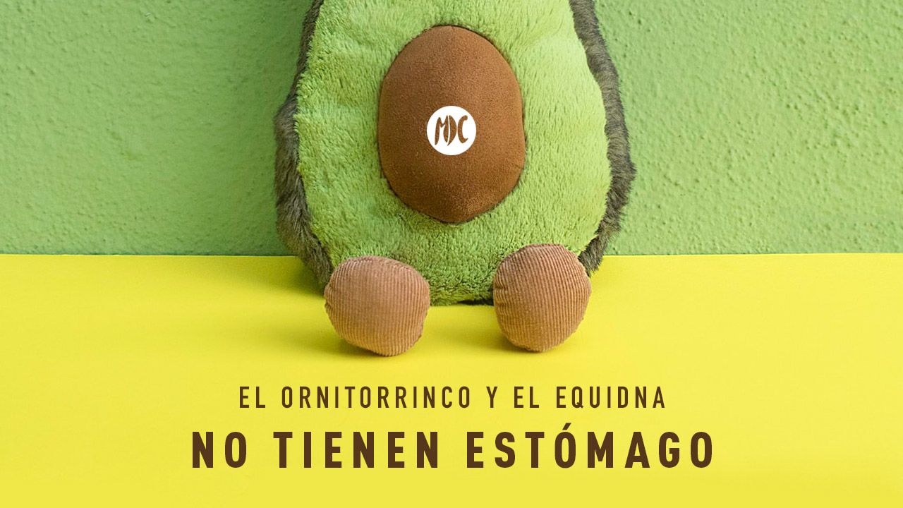 contraportadas_noviembre2019_4