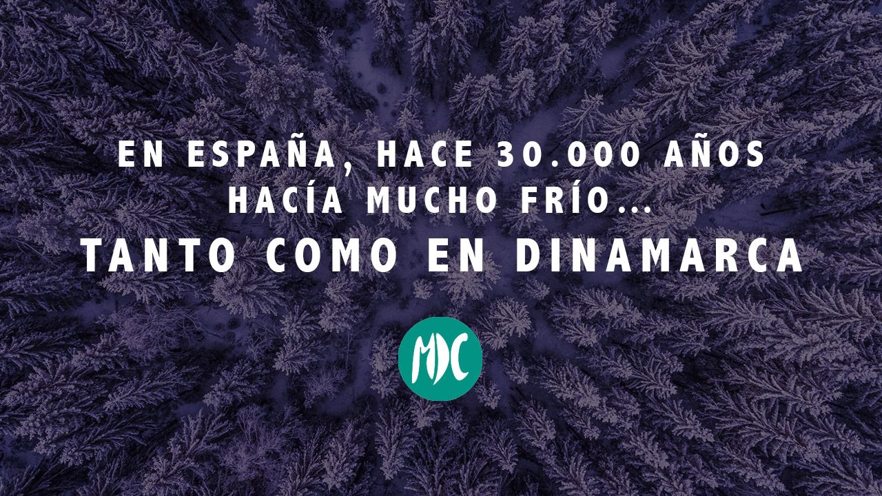 contraportadas_noviembre2019_5