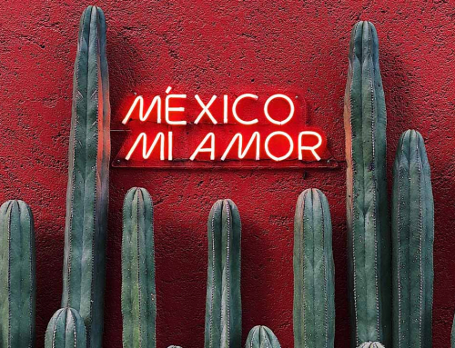 Agenda cultural de Casa de México en España: el puente entre México y Madrid
