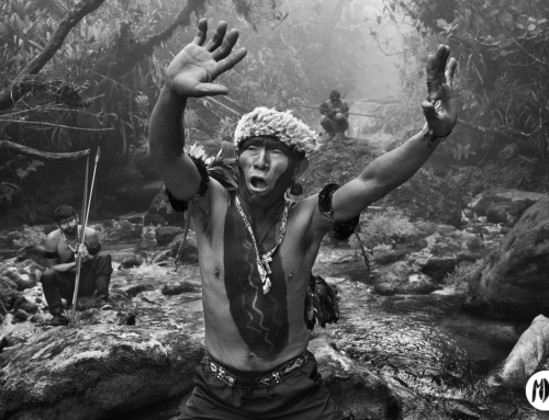 Amazônia, la exposición de Sebastião Salgado, un viaje fotográfico al interior de la selva